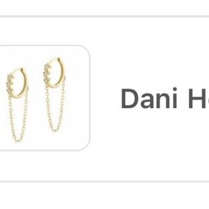 Dani hoops (electric picks)